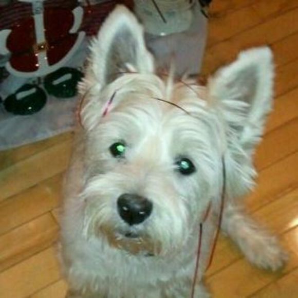 Meet your Posher, Kristine - Picture 1 of 1